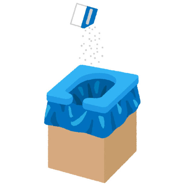 Best Affordable portable toilet rental  in Lecanto, FL